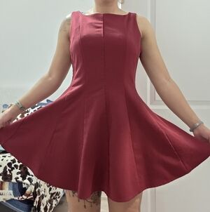 Sincerely Jules Burgundy Mini Dress
